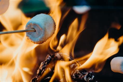 roast marshmallows over gas fireplace